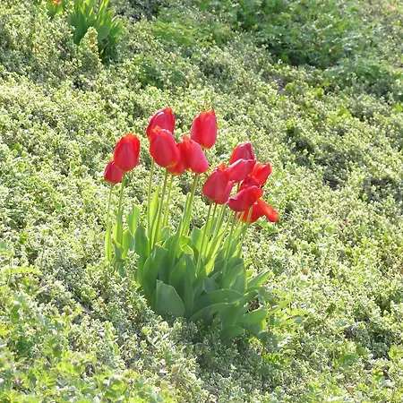 Schlossli Bed & Breakfast